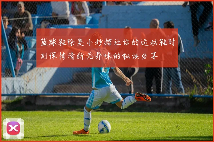 篮球鞋除臭小妙招让你的运动鞋时刻保持清新无异味的秘诀分享