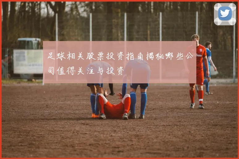 足球相关股票投资指南揭秘哪些公司值得关注与投资